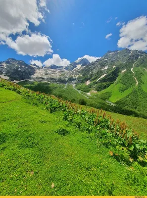 Горы Кавказа – самые высокие в Европе | Кавказ | Дзен