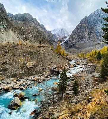 Горы Алтая - Алтайские золотые горы Горный Алтай