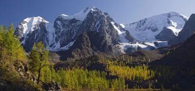 Алтайские горы 🌟 Достояние Сибири