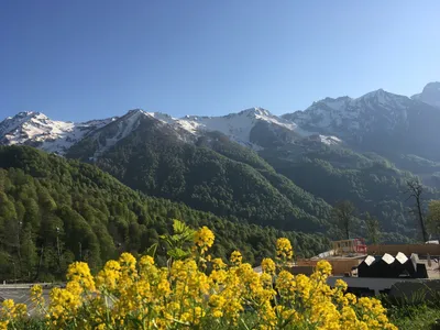 Куда можно съездить посмотреть красивые места в горах недалеко от Сочи —  советы от Яндекс Путешествий