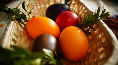 Готовимся к Пасхе: собрали самые популярные способы покраски яиц на  праздник | MogilevNews | Новости Могилева и Могилевской области
