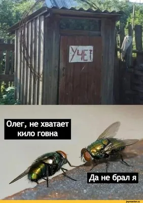 Сто блюд из говна | ШТАЗИ