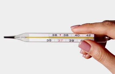 Выбираем термометр — виды, точность, плюсы, минусы: лучший градусник для  измерения температуры