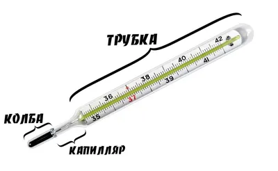 Почему при охлаждении медицинского градусника, ртуть не опускается обратно?  | Игры с кругозором | Дзен