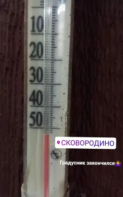 Щитовидку можно проверить с помощью градусника - советы нутрициолога | РБК  Украина