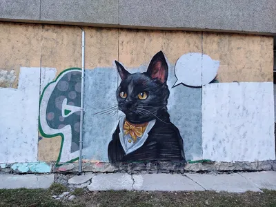 Russian Graffiti (Русские граффити) | Tsoi Wall is a graffit… | Flickr