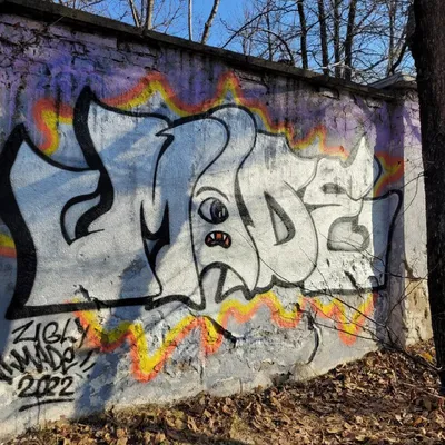 Стрит-арт-маршрут по граффити Пензы