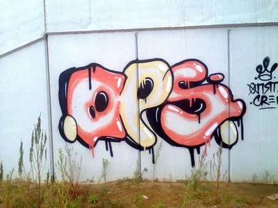 Фотообои Яркие граффити артикул Dgr-004 купить в Оренбург|;|9 |  интернет-магазин ArtFresco