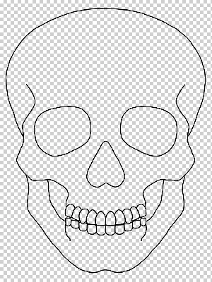 рисунок подробная графика человеческий череп штриховая искусство смерть  изолированный вектор PNG , рисунок черепа, рисунок смерти, мужчина рисует  PNG картинки и пнг рисунок для бесплатной загрузки