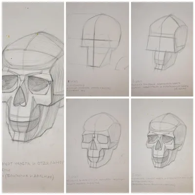 Тату эскиз графика череп» — создано в Шедевруме