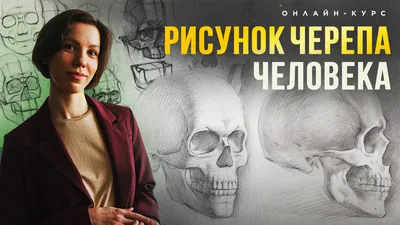 Нарисовать череп человека пошагово?