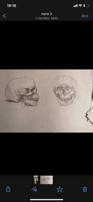Vector мертвая иллюстрация черепа, рука нарисованный череп Иллюстрация  вектора - иллюстрации насчитывающей смерть, людск: 61159670