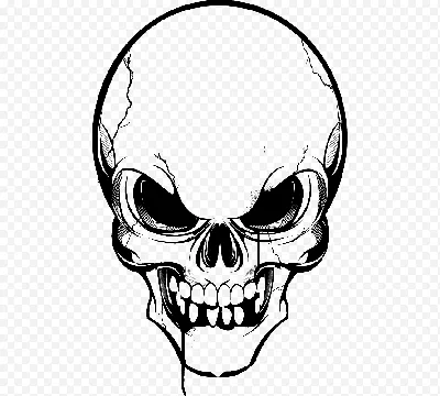 рисунок человеческий череп черно белый PNG , рисунок черепа, мужчина  рисует, человеческий рисунок PNG картинки и пнг рисунок для бесплатной  загрузки