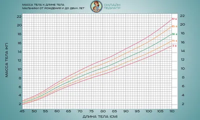 диаграмма роста прозрачное изображение PNG , рост клипарт, диаграмма роста  прозрачное изображение PNG , Png график PNG картинки и пнг рисунок для  бесплатной загрузки