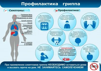 ПАМЯТКА: ПРОФИЛАКТИКА ГРИППА И КОРОНАВИРУСНОЙ ИНФЕКЦИИ - НОВОСТИ -  Управление Федеральной службы по надзору в сфере защиты прав потребителей и  благополучия человека по городу Санкт-Петербургу