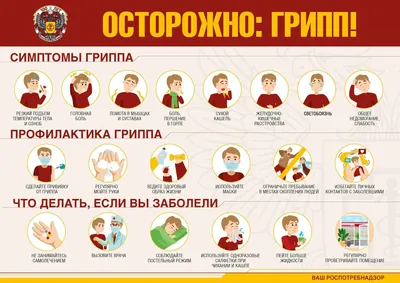 ИМХ РАН: Профилактика гриппа и ОРВИ