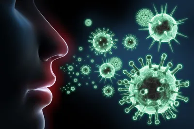 Пока мир беспокоится о коронавирусе, грипп в США убил более 10 тыс людей -  Слуцк | сайт Слуцка