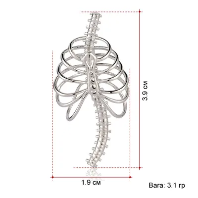 Компьютерная томография шеи, грудной клетки и позвоночника в Краснодаре —  УРО-ПРО
