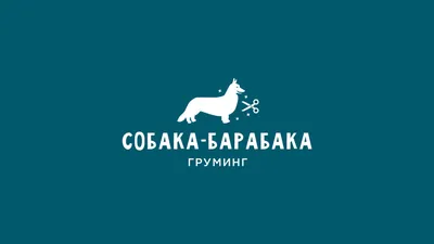 Груминг в Челябинске: стрижка кошек, котов, собак по выгодным ценам