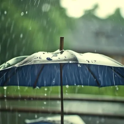 𝓜𝓪𝓻𝓲𝓪 𝓩𝓱𝓾𝓻𝓪𝓿𝓵𝓮𝓿𝓪 - Это всего лишь дождь... 🌧 _ _ _ #rain  #spring #nature #дождь #весна #грусть #природа #шумдождя #тишинавнутри  #зеркало #отражение #архангельск | Facebook