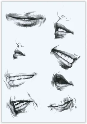 Как нарисовать рот человека карандашом поэтапно начинающим