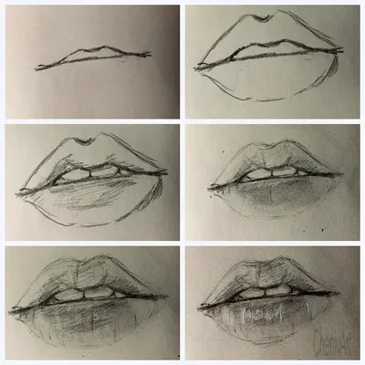 Идеальные формы губ, или как красиво нарисовать губы? | DermaQuest | Дзен