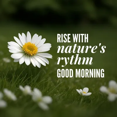50 Romantic Good Morning Wishes for Your Special One | by Roop Dey | Medium