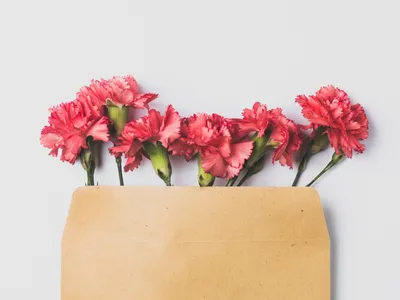 Букет из красных гвоздик - заказать доставку цветов в Москве от Leto Flowers