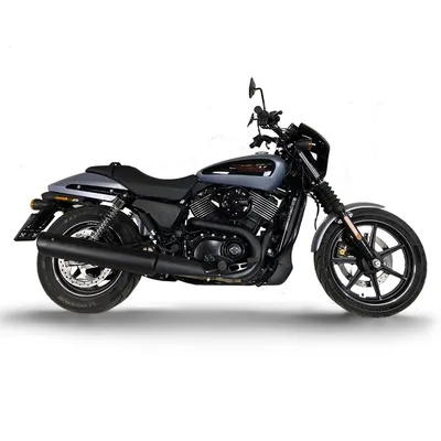 Harley Davidson Softail 01/2023