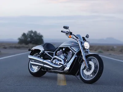 Harley Davidson Softail 01/2023