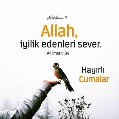 Social Media Hayirli Cumalar Vector Quran: стоковая иллюстрация, 2233641727  | Shutterstock