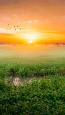 Wallpaper Fog Nature Sunrises and sunsets landscape 1080x1920