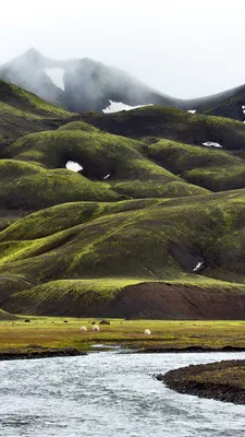 Image Iceland Nature Stream Mountains Moss 1080x1920