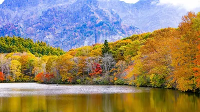 Осень обои 1920x1080 – Осенний лес возле озера – Full HD качество