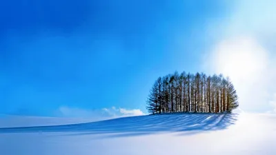 Обои зима, trees, sky, snow, winter, 4k, Природа #17402