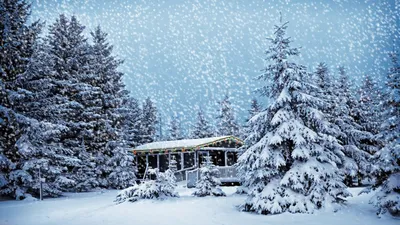 Зима не хочет уходить: минусовая температура и снег вернутся в Казахстан -  Телеканал «Астана»