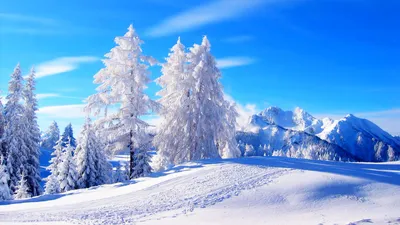 Обои Природа Зима, обои для рабочего стола, фотографии природа, зима,  фонарики, ограда, ночь, снег, сугробы, домик Обои для рабочего стола,  скачать обои картинки заставки на рабочий стол.