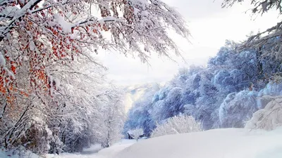 Обои Природа Зима, обои для рабочего стола, фотографии природа, зима, снег,  россия, южный, урал, деревья, сугробы Обои для рабочего стола, скачать обои  картинки заставки на рабочий стол.