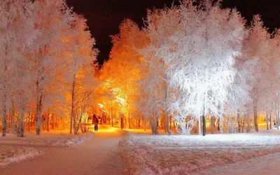 Картинка зима. Горы, ели, снег. | Картинки снега, Пейзажи, Горный пейзаж