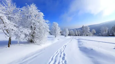 Зимний яркий пейзаж, утренний рассвет…» — создано в Шедевруме