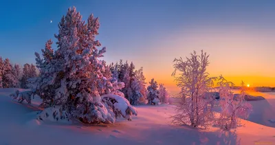 Обои зима, trees, sky, snow, winter, 4k, Природа #17402