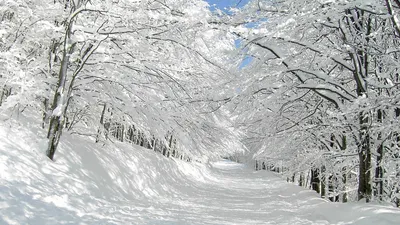 Панорама Сказочный зимний пейзаж, …» — создано в Шедевруме