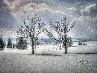 Зима Зимний Пейзаж Снег Задний - Бесплатное фото на Pixabay - Pixabay
