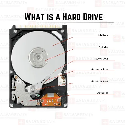 Seagate Ultra Touch external HDD review: High-capacity, eco-conscious |  PCWorld
