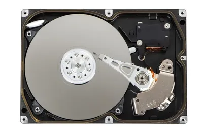 Amazon.com: Seagate Archive HDD 8TB SATA 6GBps 128MB Cache SATA Hard Drive  (ST8000AS0002) : Electronics