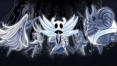 Hollow Knight's newest mod feels like it should be paid DLC | PC Gamer