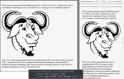 CSS: как задавать размеры элементов на сайте — Журнал «Код»  программирование без снобизма