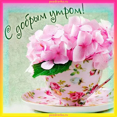 Картинка: \"Доброе утро любимка!\" • Аудио от Путина, голосовые, музыкальные