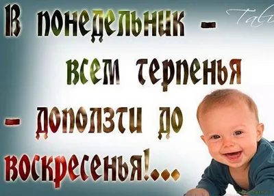 Открытка И снова Понедельник! Хорошего дня и настроения!