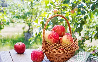 Яблочный Спас 2020: картинки, открытки, поздравления, стихи